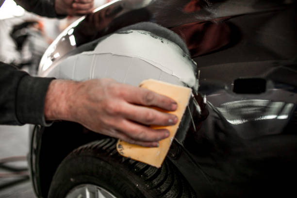 Best Mold Damage Restoration  in Madisonville, TN