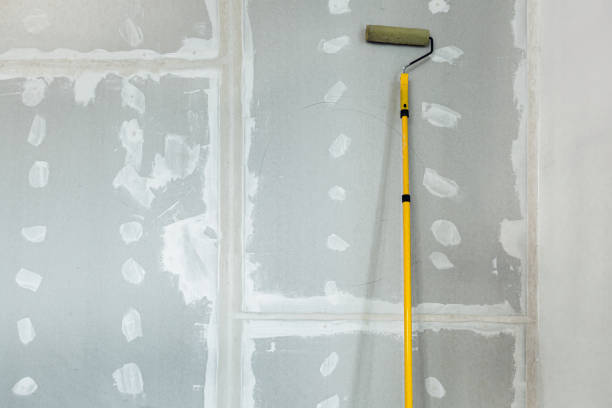 Trusted Madisonville, TN Mold Removal Experts
