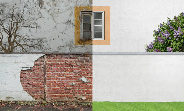 Best Mold Removal for HVAC Installations  in Madisonville, TN